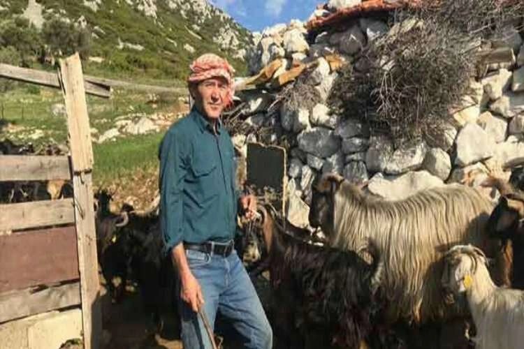 İzmir Damızlık Koyun Keçi Birliği'nde başkan krizi haberinin görseli