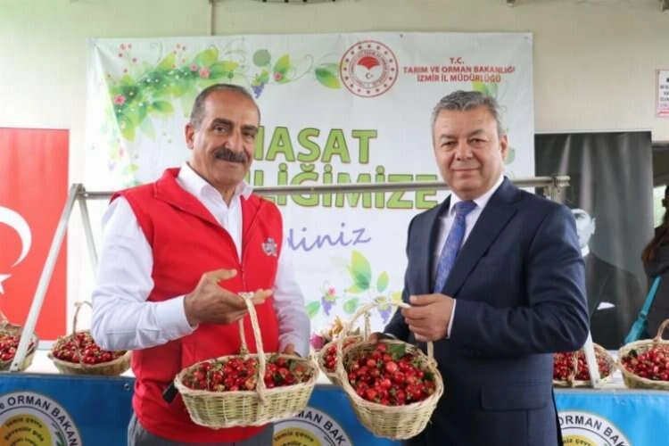 Türkiye 80 bin ton kiraz ihracatı hedefliyor haberinin görseli
