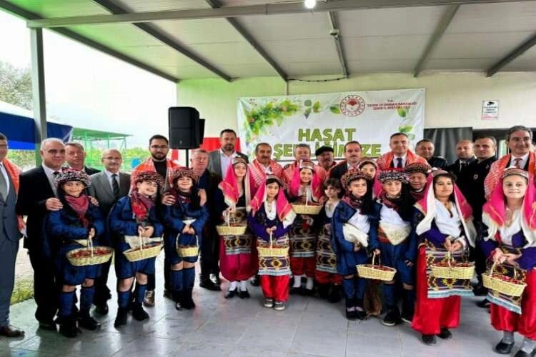 Yılın ilk kiraz hasadı Kemalpaşa’da yapıldı haberinin görseli