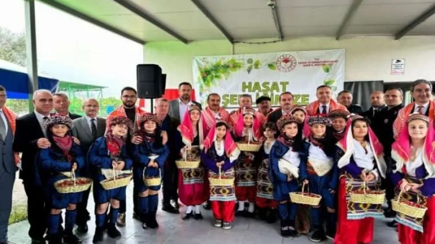 Yılın ilk kiraz hasadı Kemalpaşa’da yapıldı