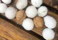 Denizli’de yağan dolu hasara neden oldu