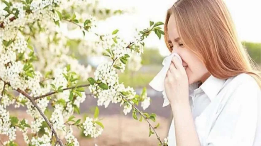 Polen alerjisi astıma dönüşebiliyor! haberinin görseli