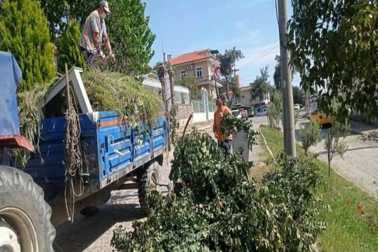 Ayvalık'ta sezon öncesi detaylı temizlik haberinin görseli