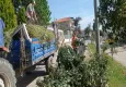 Ayvalık'ta sezon öncesi detaylı temizlik