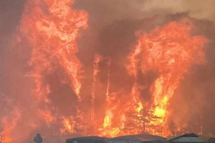 Kanada’da orman yangınları devam ediyor haberinin görseli