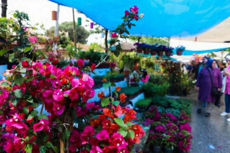Bayındır Çiçek Festivali'ne yoğun ilgi haberinin görseli