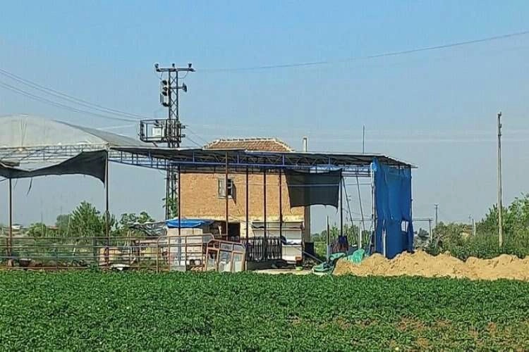 İzmir'de karısını öldüren zanlı tutuklandı haberinin görseli
