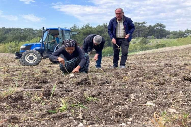 Bornova'dan 'Sözleşmeli Çiftçilik Tarım Projesi'