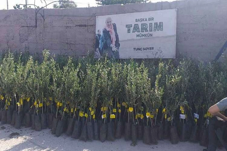 İzmir’den Osmaniye’ye zeytin fidanı desteği