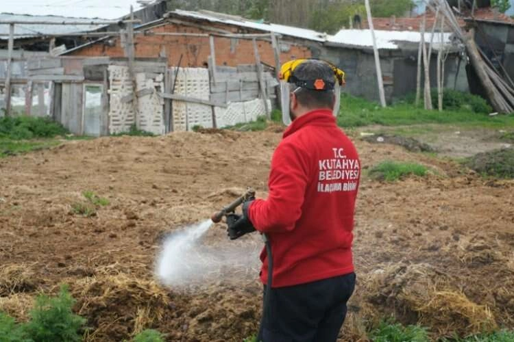 Kütahya'da ilaçlama çalışmaları başladı haberinin görseli