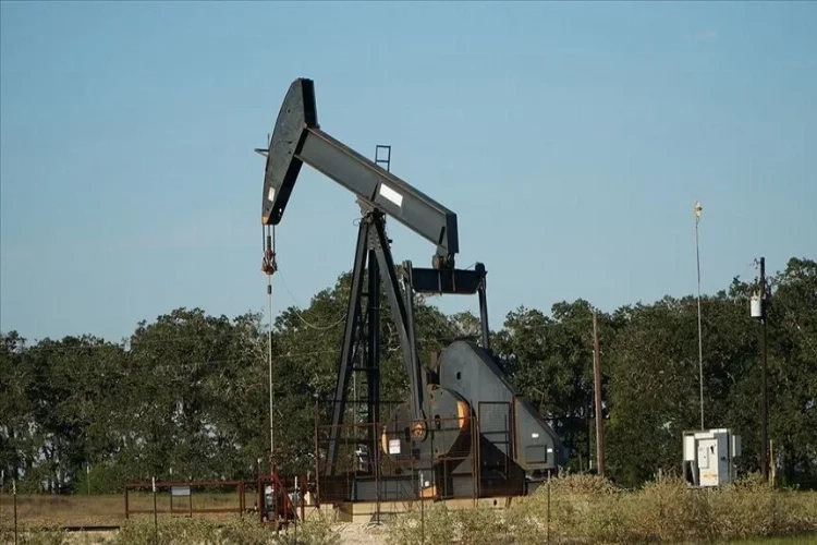 Petrol İhraç Eden Ülkeler Örgütü öngörüsünü değiştirmedi haberinin görseli