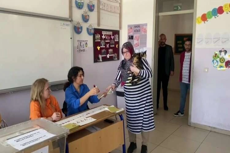 Oy kullanmaya giderken kedisi de eşlik etti haberinin görseli