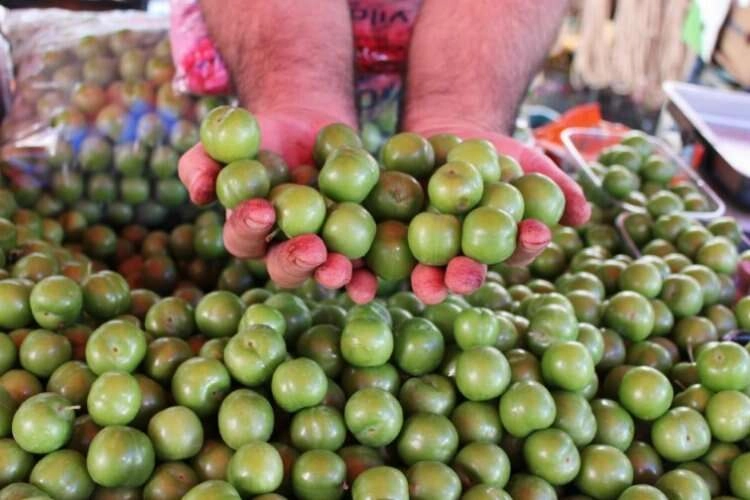 Aydın'da erik tezgahlardaki yerini aldı