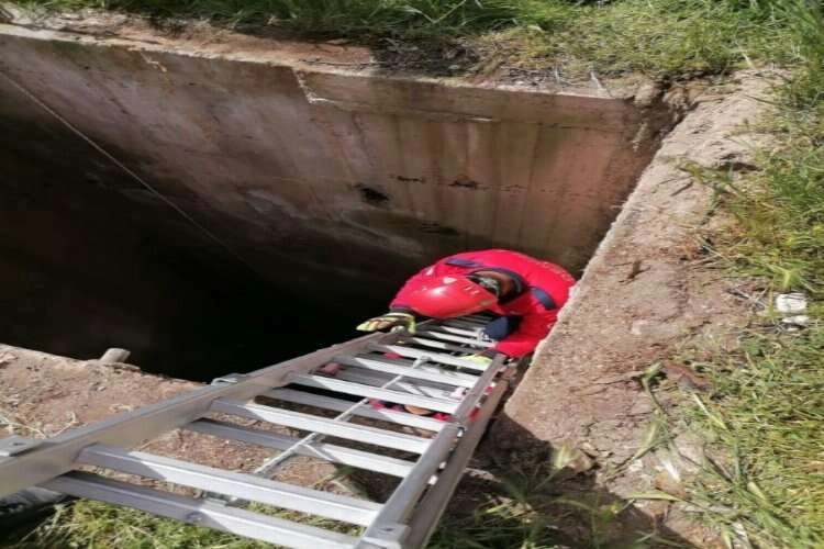 İtfaiye ekipleri kuyudaki koyunları kurtardı