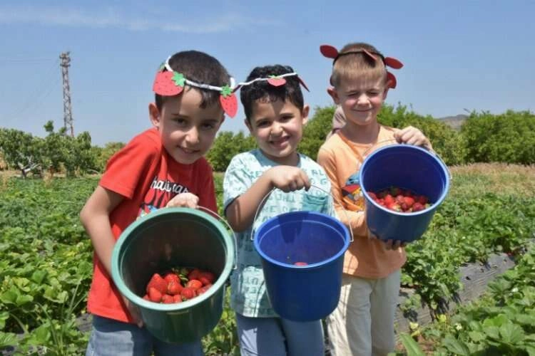 Emiralem Çilek Festivali'nde ünlüler geçidi haberinin görseli