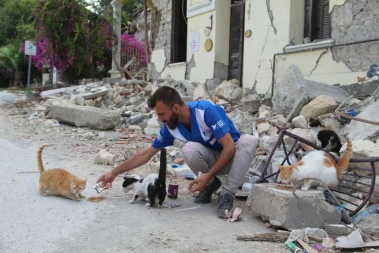 Hatay'da unutulan 10 bin can dostu yardım bekliyor haberinin görseli