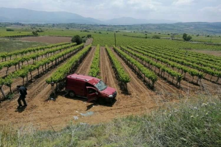 Manisa'da kaza: Araç üzüm bağına düştü haberinin görseli