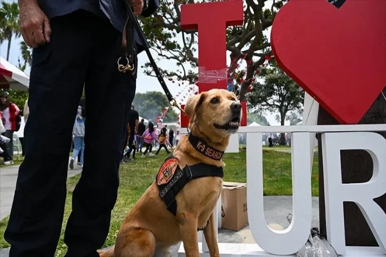 ABD'li arama kurtarma ekibi, California Türk Festivali'nde! haberinin görseli