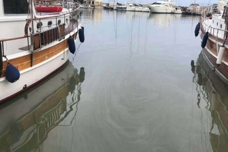 Muğla'da yağmur denizin rengini değiştirdi haberinin görseli