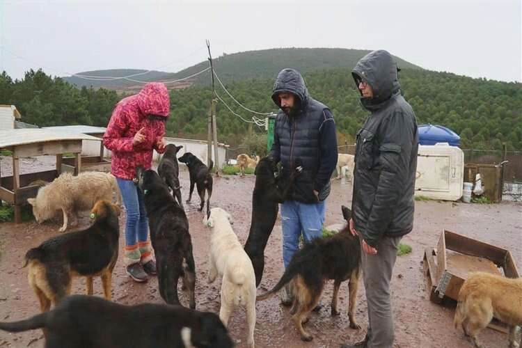 HAKİM’den 2. tur için Kılıçdaroğlu'na destek  haberinin görseli