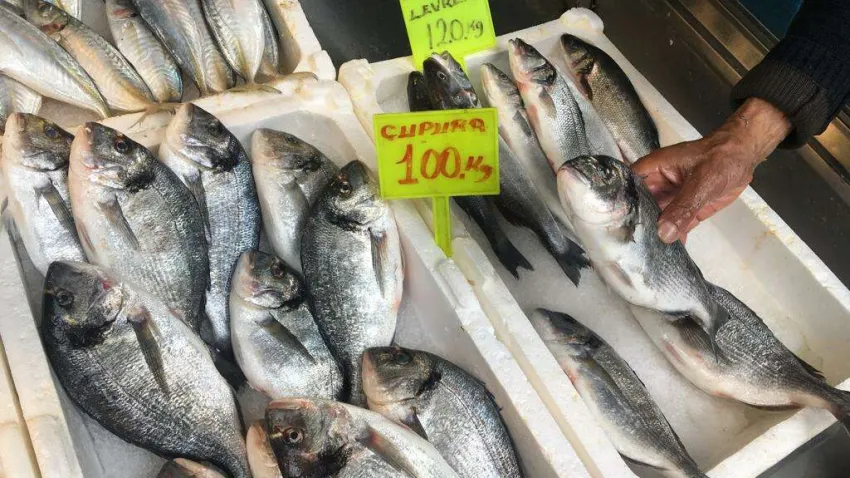 balık