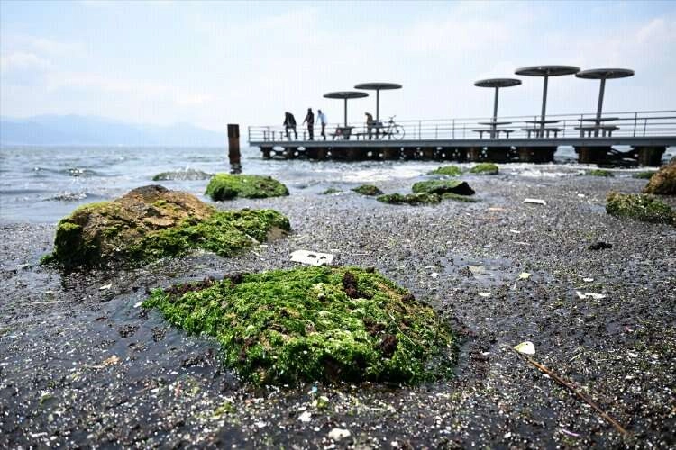 İzmir Körfezi’nde müsilaj şiddeti artıyor haberinin görseli