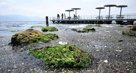 İzmir Körfezi’nde müsilaj şiddeti artıyor
