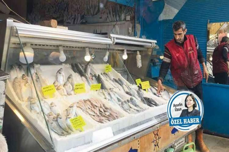 Düzensiz avlanmalar balık miktarını azalttı haberinin görseli