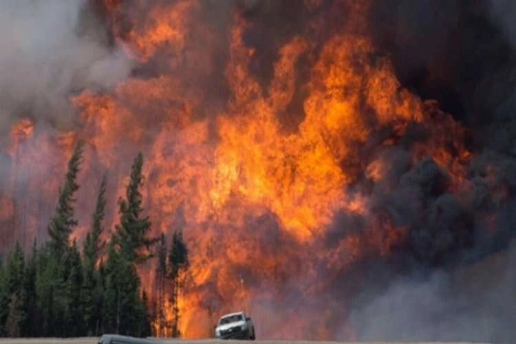 Kanada'da orman yangınlarının önüne geçilemiyor! haberinin görseli