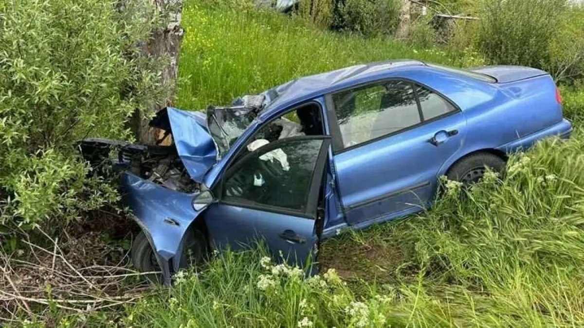 Afyonkarahisar'da trafik kazası haberinin görseli