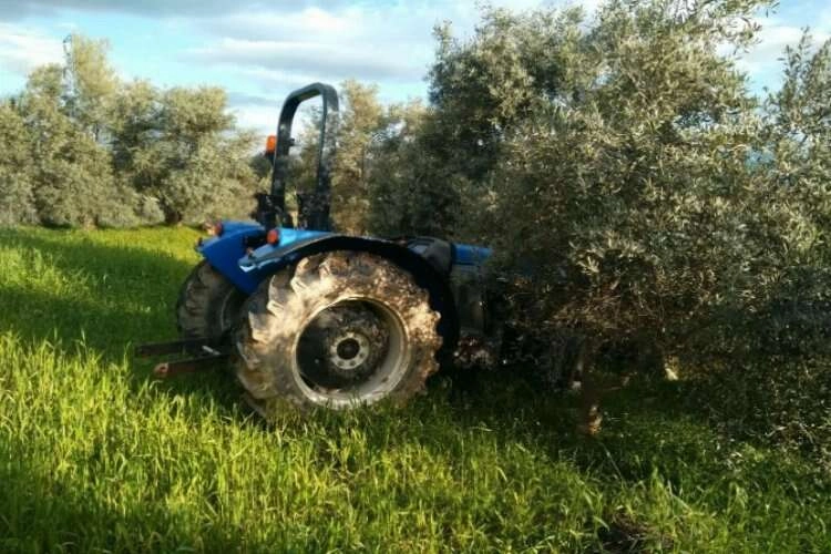 Aydın'da hırsızlık: Evinin önünden traktörü çalındı haberinin görseli