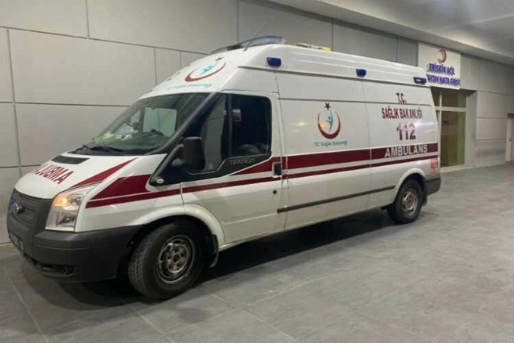 Aydın'da hayvanlarını otlatırken yılan ısırdı haberinin görseli