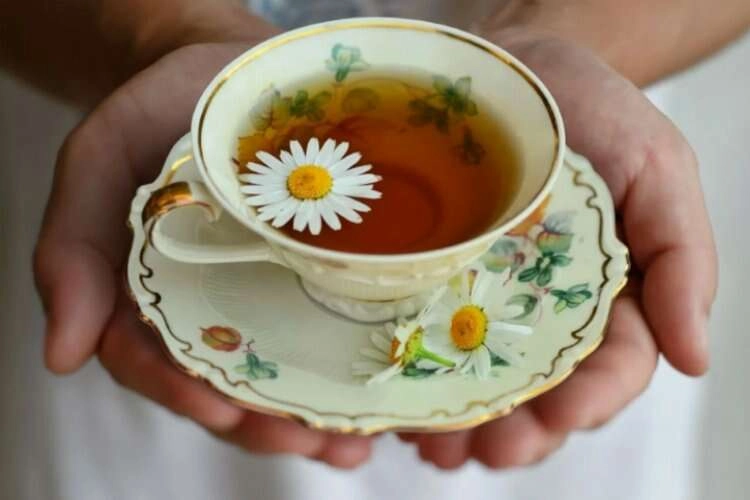 Papatya çayıyla sinir, stres, depresyon tarih oluyor! haberinin görseli