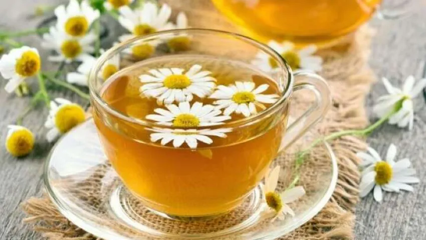 papatya-cayinin-faydalari-neye-iyi-gelir-nasil-yapilir-2 (Küçük)