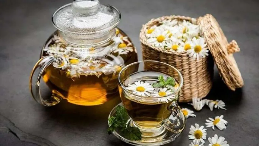 papatya_cayinin_faydalari_ofix_blog (Küçük)