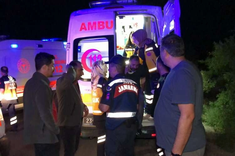 Köpeğe çarpan kamyonet şarampole yuvarlandı haberinin görseli