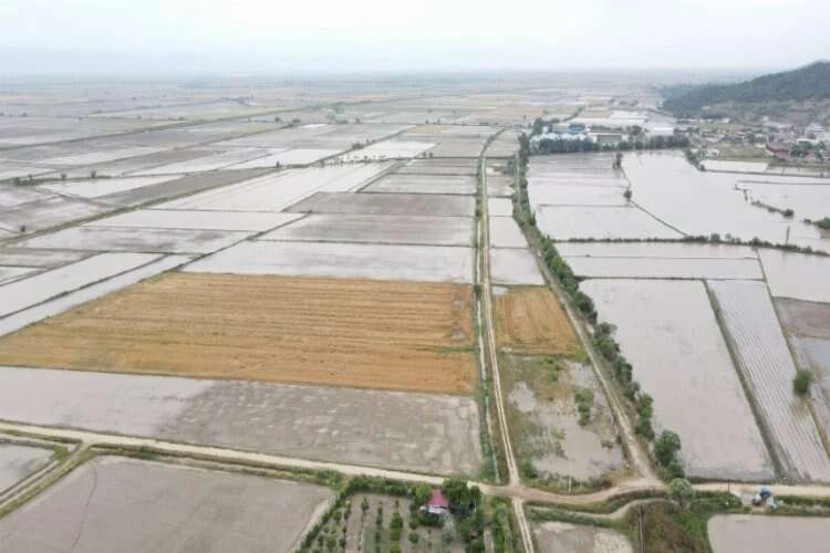 Sel, Aydın'da büyük zarara sebep oldu