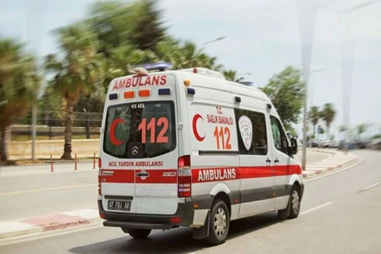 Ormanda topladığı mantarlar sonu oldu haberinin görseli