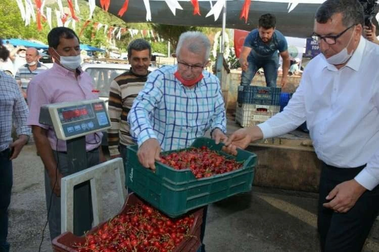 Yaylalarda erik ve kiraz hasadı başladı haberinin görseli