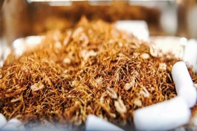 Uşak'ta kaçak tütün ele geçirildi haberinin görseli