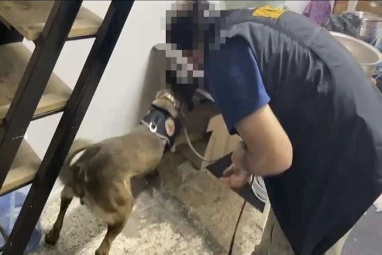 İzmir polisinden zehir tacirlerine operasyon haberinin görseli