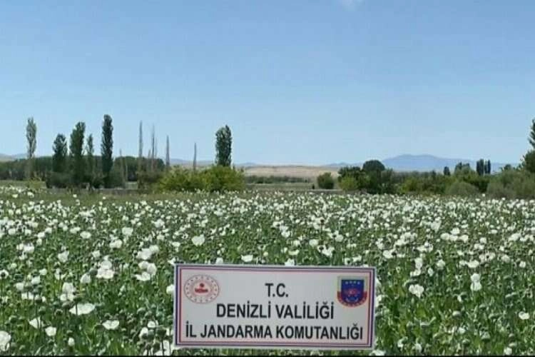 Denizli'de jandarmadan suçlulara geçit yok