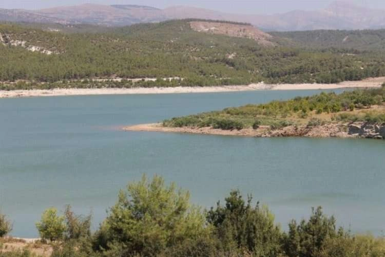 Aydın'da son yağışlar, barajları dolduruyor haberinin görseli