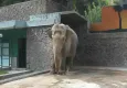 Pak Bahadır efsanesi müzede yaşatılacak