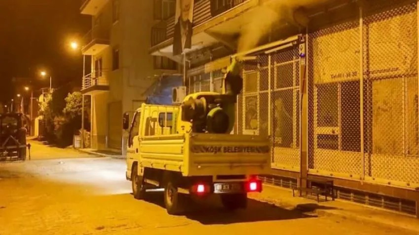 Sivrisinek ve haşerelere karşı mücadele başladı haberinin görseli