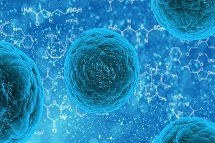 Türkiye'de kök hücre naklinde gurur verici tablo haberinin görseli