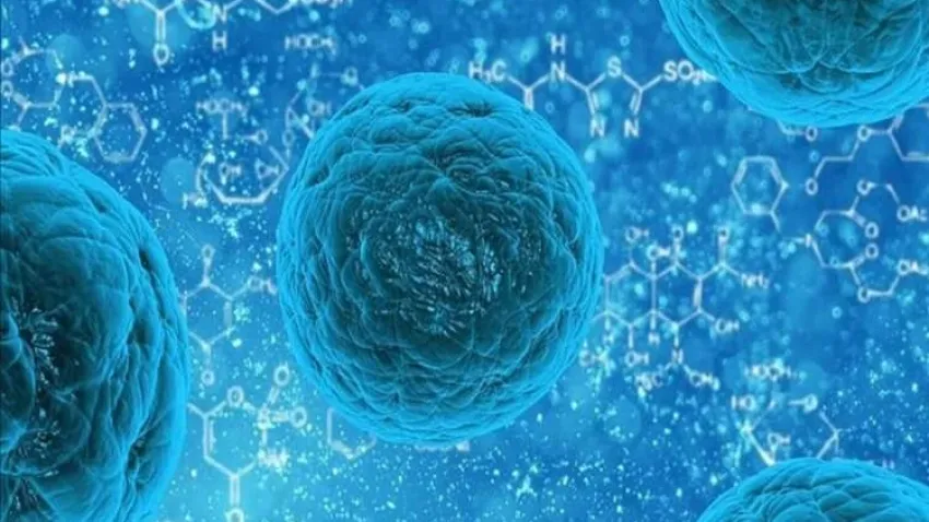 Türkiye'de kök hücre naklinde gurur verici tablo haberinin görseli