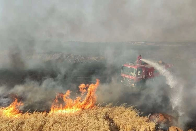 Gaziantep'te 7 bin dönüm buğday tarlası küle döndü