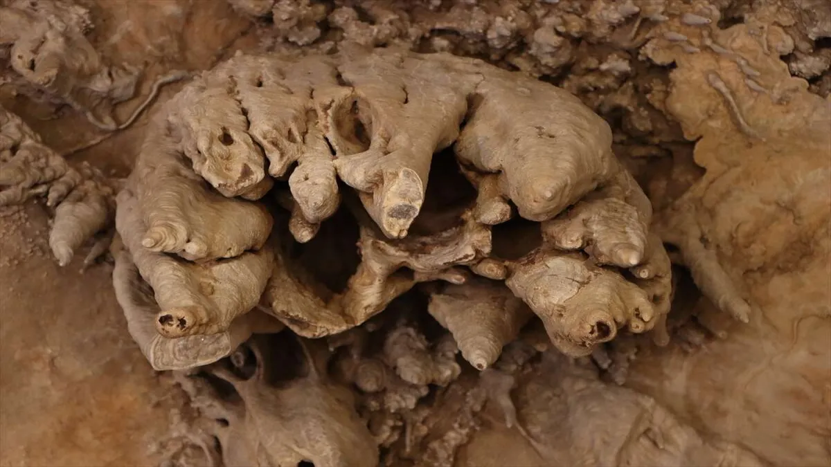Börtlüce Mağarası turizme kazandırılacak - 1805