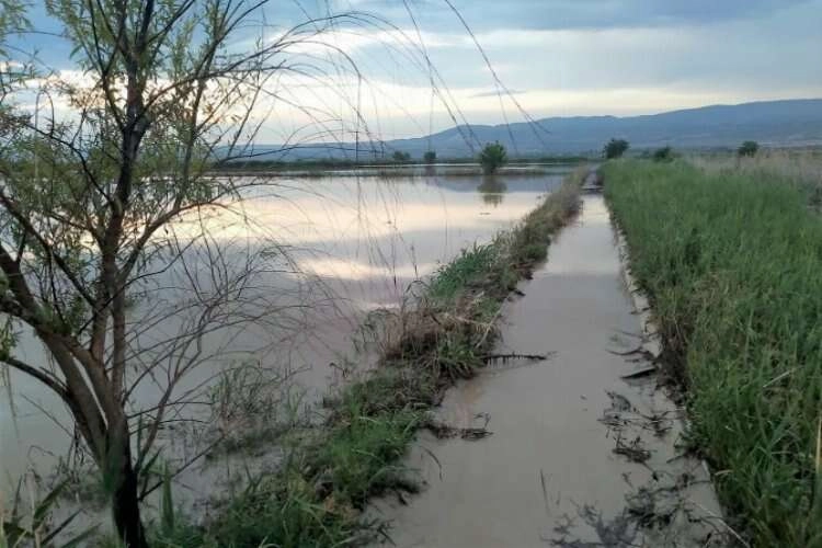Düzensiz sağanak tarımsal üretimi olumsuz etkiledi haberinin görseli
